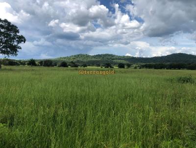 Fazenda para Locao, em Nova Xavantina, bairro Zona rural