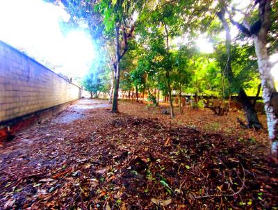 Terreno para Venda, em Tibau do Sul, bairro Praia da Pipa