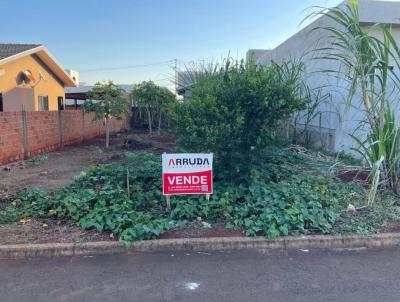 Terreno para Venda, em Medianeira, bairro Vendrame