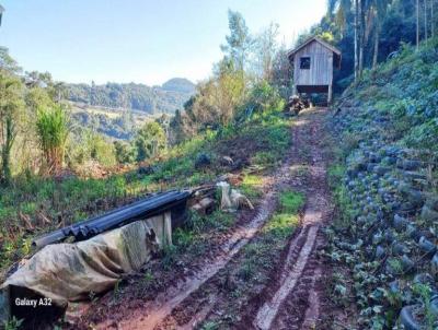 Stio / Chcara para Venda, em Nova Petrpolis, bairro Pinhal Alto