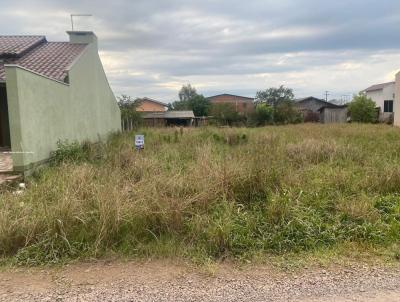 Terreno para Venda, em Venncio Aires, bairro Bairro Canto do Cedro