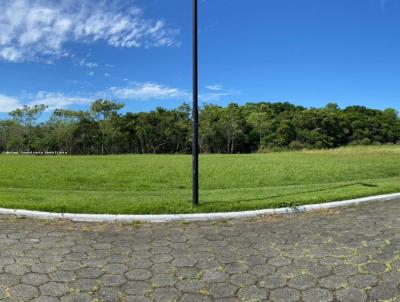 Terreno para Venda, em Garopaba, bairro Praia do Rosa