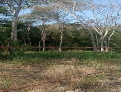 rea para Venda, em Cachoeira Paulista, bairro PALMITAL