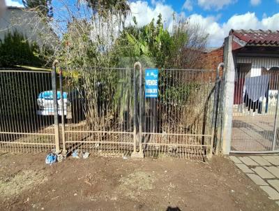 Terreno para Venda, em Alvorada, bairro Americana, 3 dormitrios, 1 banheiro
