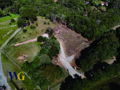 Chcara para Venda, em Campo Largo, bairro Jardim Florestal