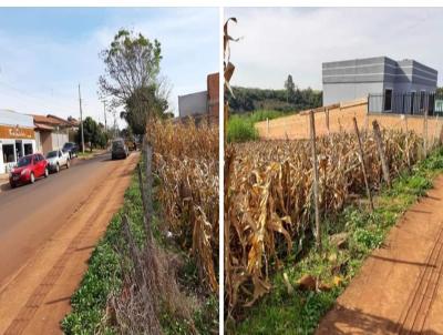 Terreno para Venda, em Santo ngelo, bairro Pippi