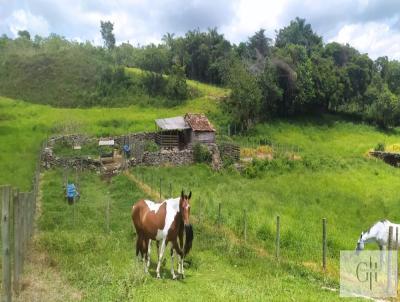 Terreno para Venda, em , bairro Ritaplis MG