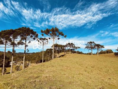 Terreno para Venda, em Rancho Queimado, bairro Queimada Grande