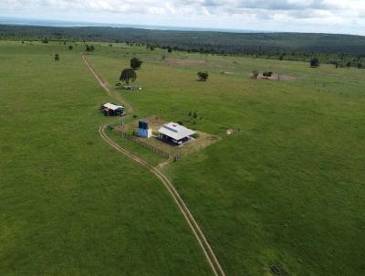 Fazenda para Venda, em Juscimeira, bairro Zona rural