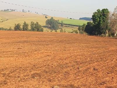 Terreno para Venda, em Getulina, bairro 2.8 km da BR 153