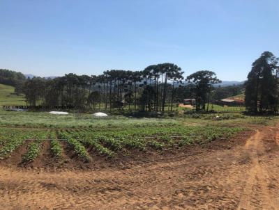 Fazenda para Venda, em Joanpolis, bairro A CONSULTAR