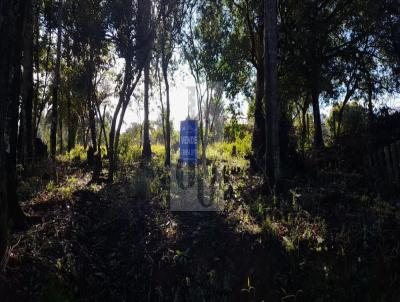 Terreno para Venda, em Viamo, bairro Florescente