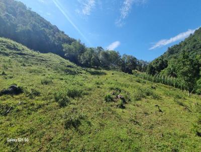 Área Rural para Venda, em , bairro Linha Ávila