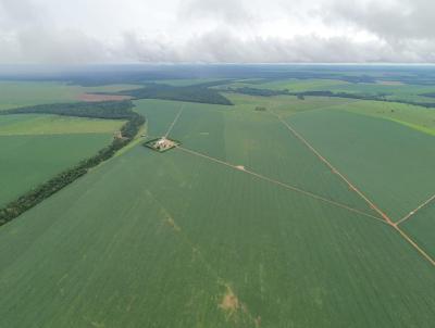 Fazenda para Venda, em Nova Ubirat, bairro Rural