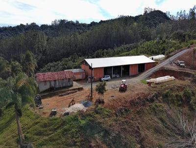 Stio para Venda, em Vidal Ramos, bairro Chapado do Tigre, 3 dormitrios, 2 banheiros, 1 sute