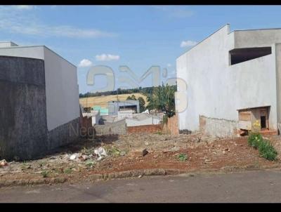 Terreno para Venda, em Cascavel, bairro Floresta