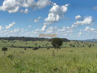 Fazenda para Locao, em Novo So Joaquim, bairro Zona rural