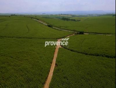 Fazenda para Venda, em Piracicaba, bairro Centro, 6 dormitrios, 7 banheiros, 6 sutes, 4 vagas