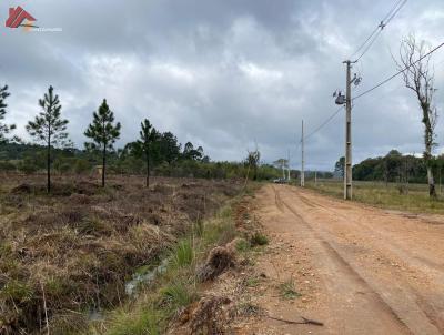 Terreno para Venda, em Tijucas do Sul, bairro Campo Alto