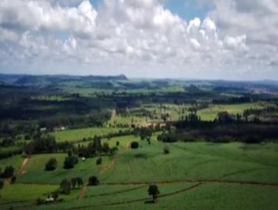 Fazenda para Venda, em Descalvado, bairro Centro, 3 dormitrios, 3 banheiros, 3 vagas