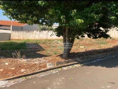 Terreno para Venda, em Cornlio Procpio, bairro JARDIM DOS PIONEIROS