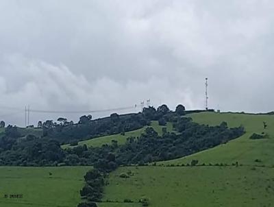 rea para Venda, em Monte Belo, bairro Centro