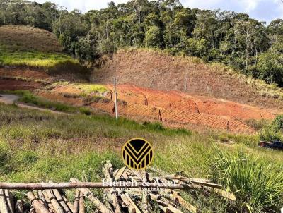 Terreno para Venda, em Santa Teresa, bairro SANTA TERESA