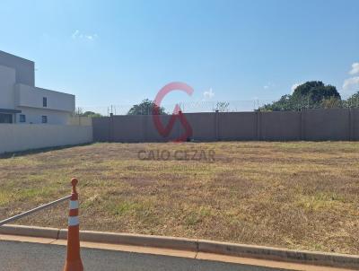 Terreno para Venda, em Barretos, bairro Tambor