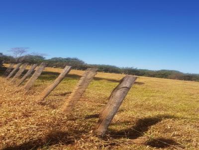 Chcara para Venda, em Cocalzinho de Gois, bairro PATO SELVAGEM I