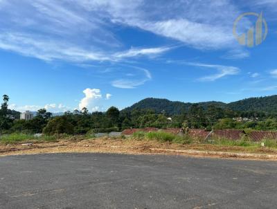 Terreno para Venda, em Indaial, bairro Estrada das Areias