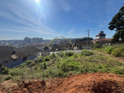 Terreno para Venda, em Blumenau, bairro Passo Manso