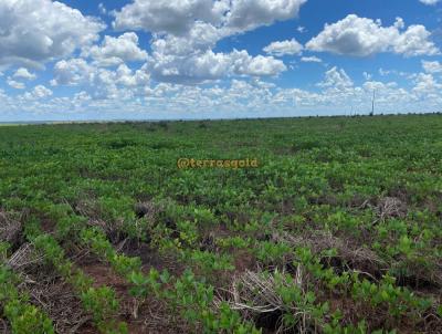 Fazenda para Locao, em Canarana, bairro Zona rural