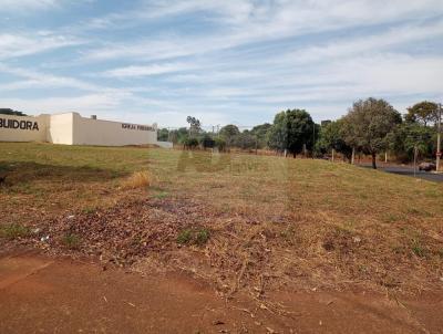 rea para Venda, em So Jos do Rio Preto, bairro Residencial Vila Madalena