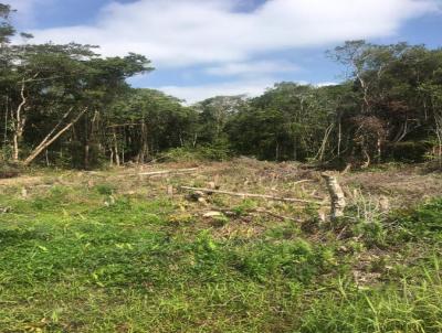 Terreno para Venda, em Itanham, bairro Indai