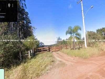 Stio / Chcara para Venda, em Guaba, bairro Terra Dura, 5 dormitrios, 3 banheiros