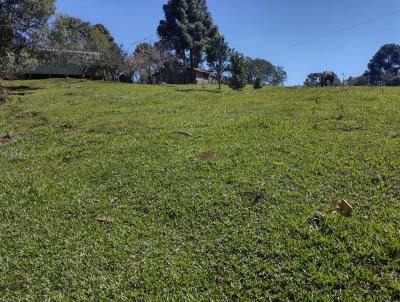 Chcara para Venda, em Curitibanos, bairro vila santa catarina