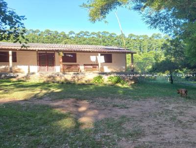 Stio / Chcara para Venda, em Guaba, bairro Terra Dura, 5 dormitrios, 3 banheiros