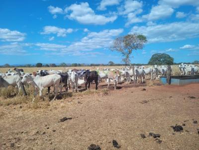 Fazenda para Venda, em Gois, bairro ---