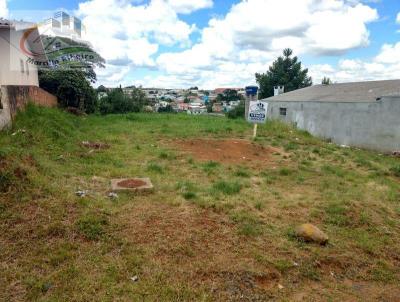 Lote para Venda, em Curitibanos, bairro aparecida