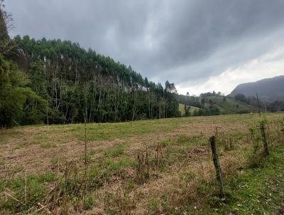 Stio para Venda, em Agrolndia, bairro Serra dos Alves