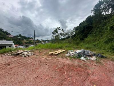 Terreno para Venda, em Brusque, bairro Paquet