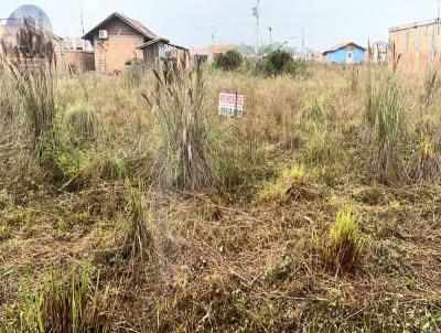 Terreno para Venda, em Araquari, bairro Bairro Colgio Agrcola