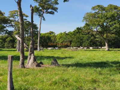 Fazenda para Venda, em Santo Antnio do Leverger, bairro Zona rural