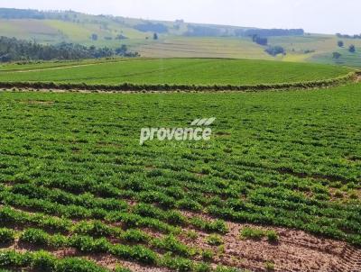 Fazenda para Venda, em Marlia, bairro Centro