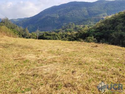 Terreno para Venda, em Miguel Pereira, bairro Vera Cruz