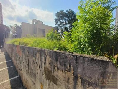 Terreno para Venda, em So Paulo, bairro Vila Dionisia