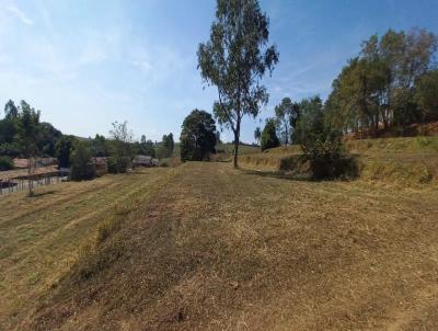 Chcara para Venda, em Getulina, bairro Getulina