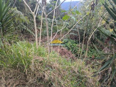 Terreno em Condomnio para Venda, em Terespolis, bairro Albuquerque