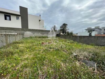 Terreno para Venda, em Florianpolis, bairro Ingleses do Rio Vermelho