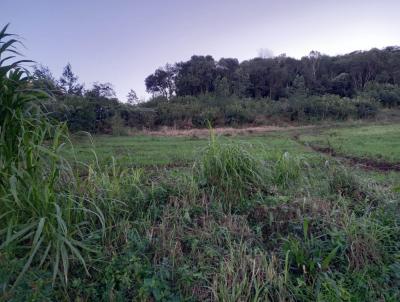 Stio / Chcara para Venda, em Santa Maria do Herval, bairro Padre Eterno Ilges